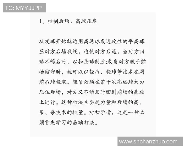 南京羽毛球队引领最新羽毛球战术TOP10解析与应用技巧分享