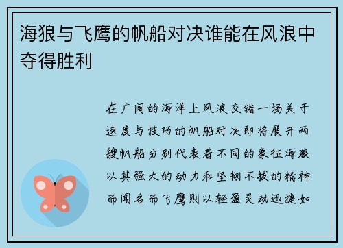 海狼与飞鹰的帆船对决谁能在风浪中夺得胜利